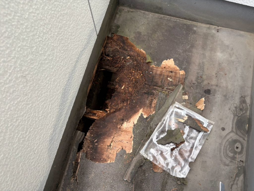 剥離した床材と腐食下地
